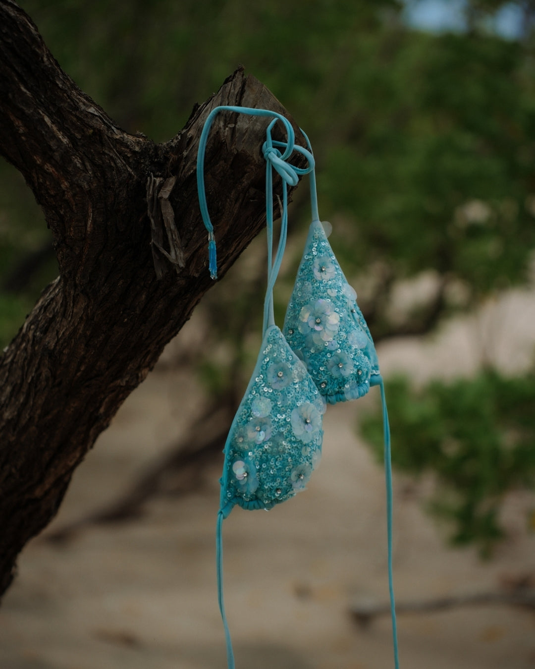 Daphne Beaded Bikini Top